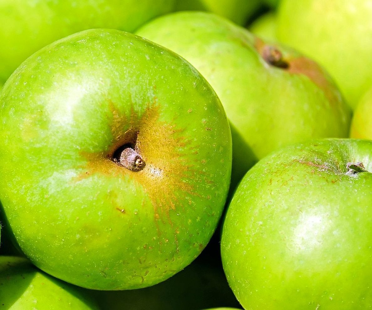 Manos preparando cajas de frutas sobre una mesa de empaque