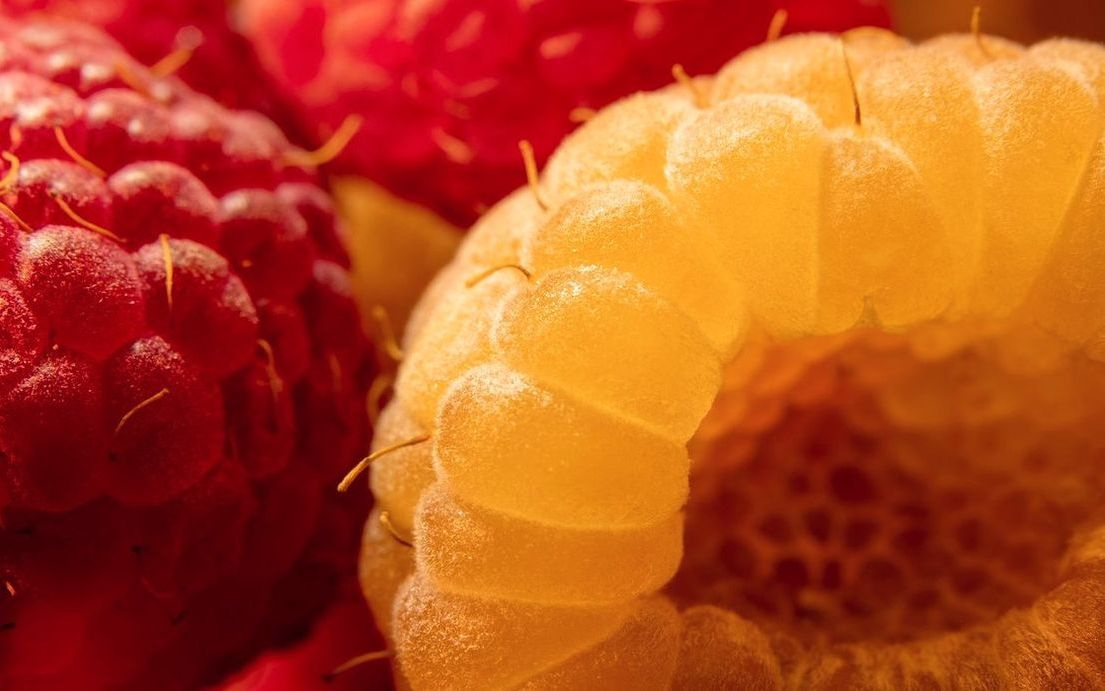 Una bandeja con uvas verdes, arándanos y fresas recién cortadas